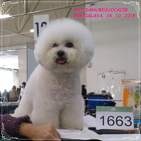 Annabell_V1, CAC, RCACIB