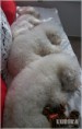 /album/jessy/img-20150404-wa0000-jpeg/