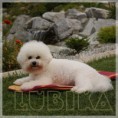 /album/fotogaleria-vrh-a/a01-jpg/