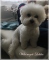 /album/fotogaleria-kissy/kissy4t-jpg/